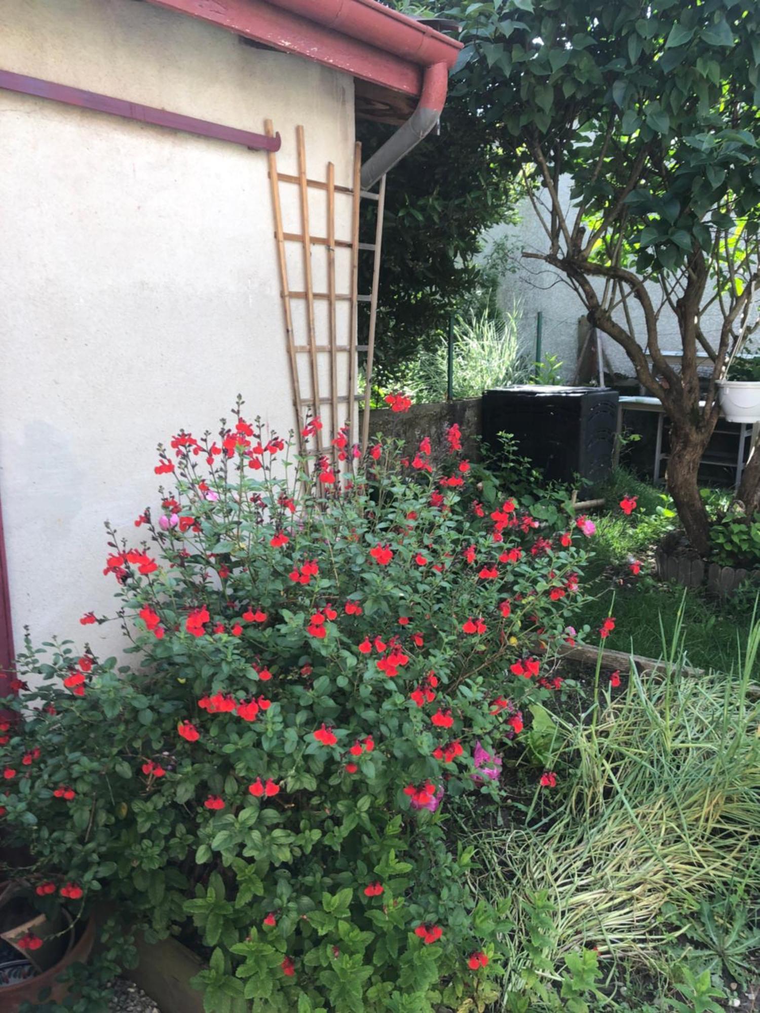 Ibis Rouge Βίλα Villars-les-Dombes Εξωτερικό φωτογραφία