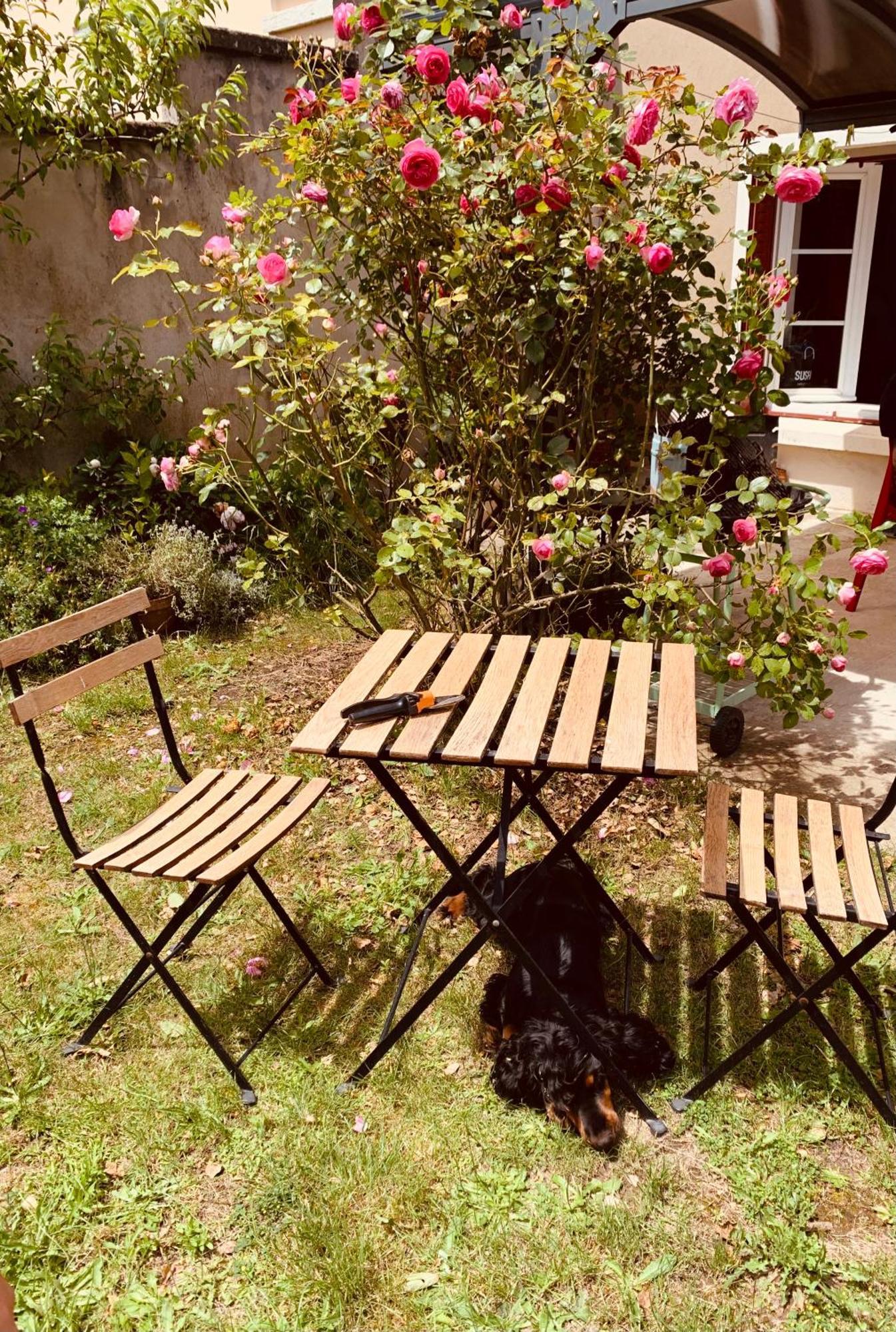Ibis Rouge Βίλα Villars-les-Dombes Εξωτερικό φωτογραφία