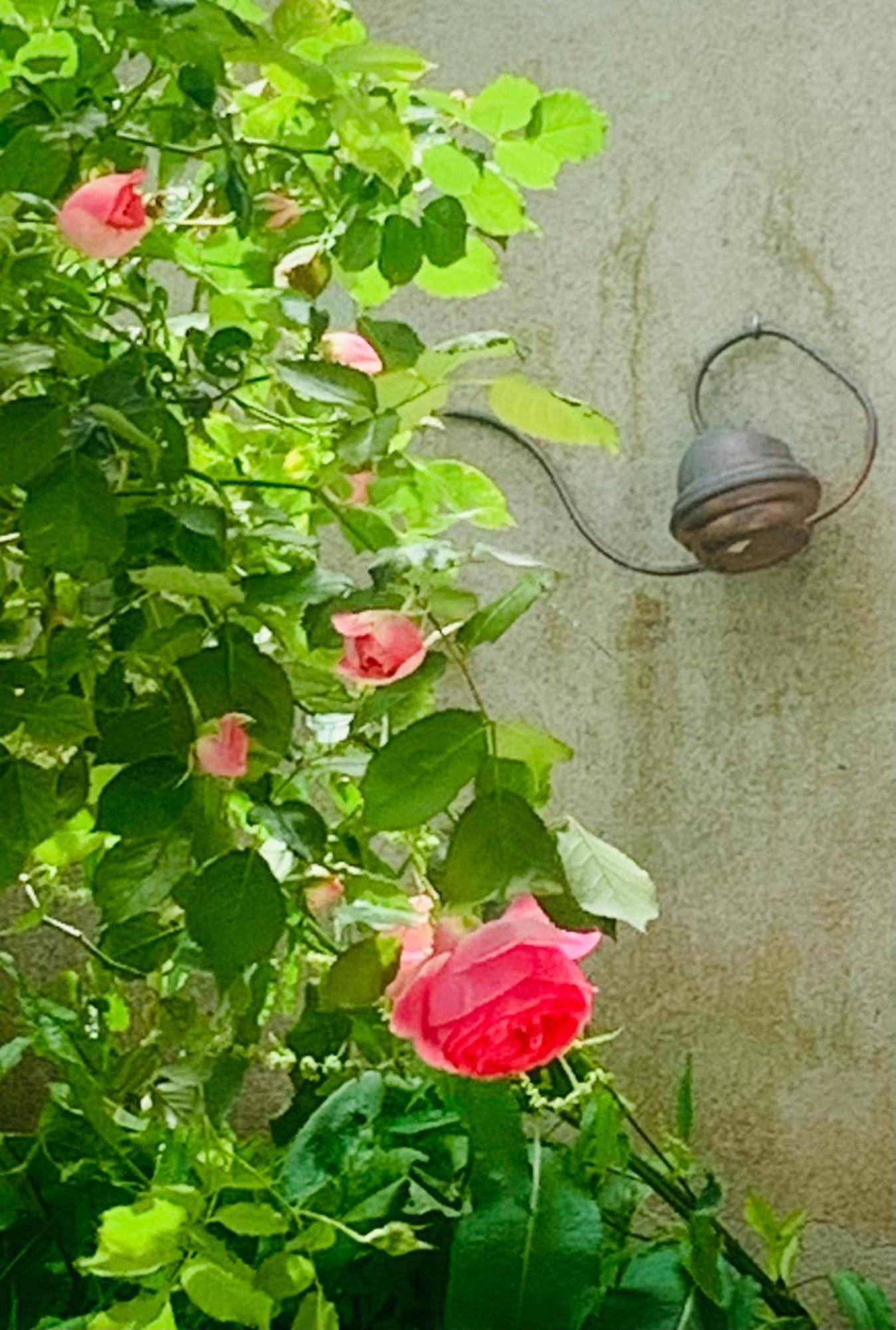 Ibis Rouge Βίλα Villars-les-Dombes Εξωτερικό φωτογραφία